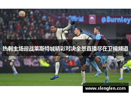 热刺主场迎战莱斯特城精彩对决全景直播尽在卫视频道